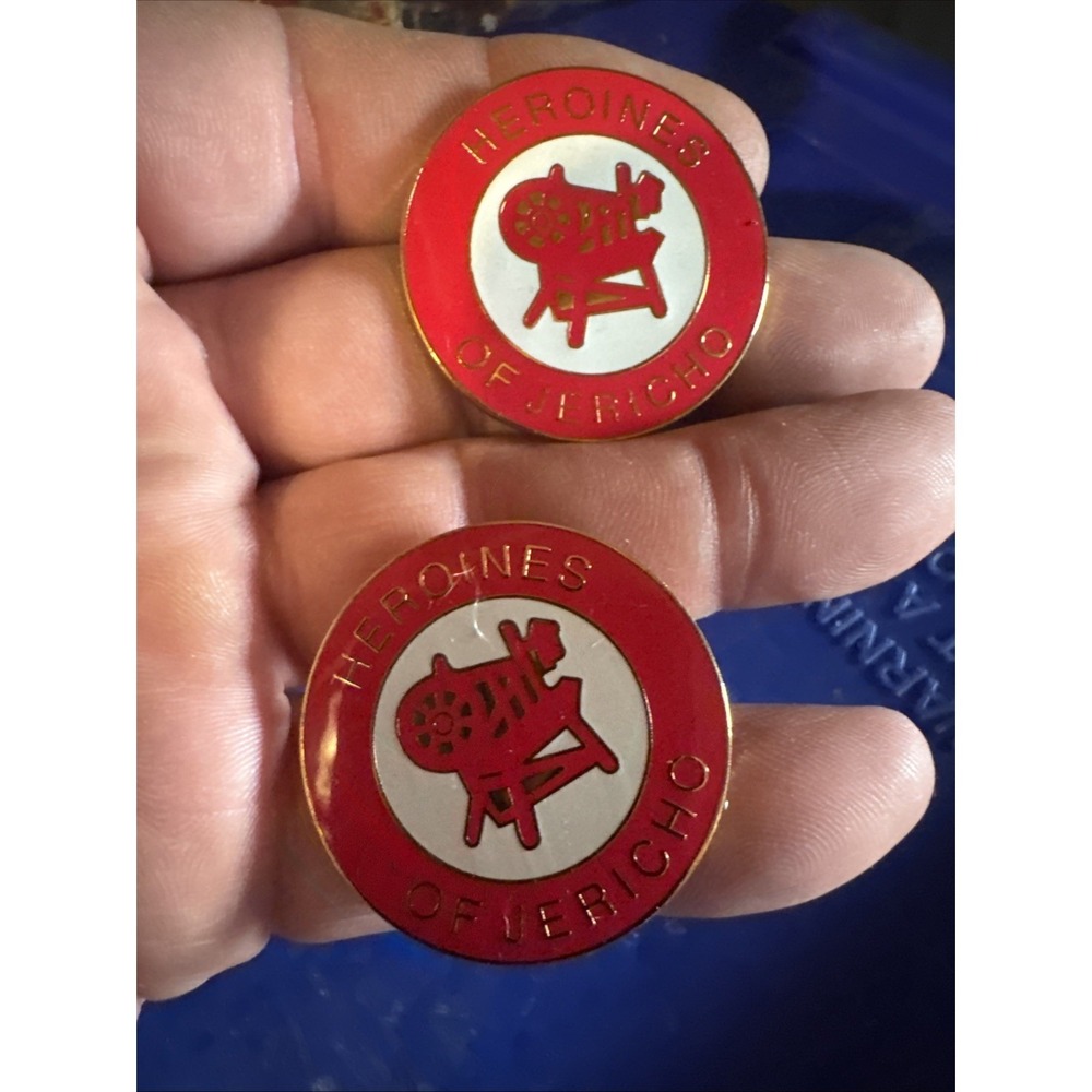 Two Pcs  Heroines of Jericho Masonic Lapel Hat Vest Pins